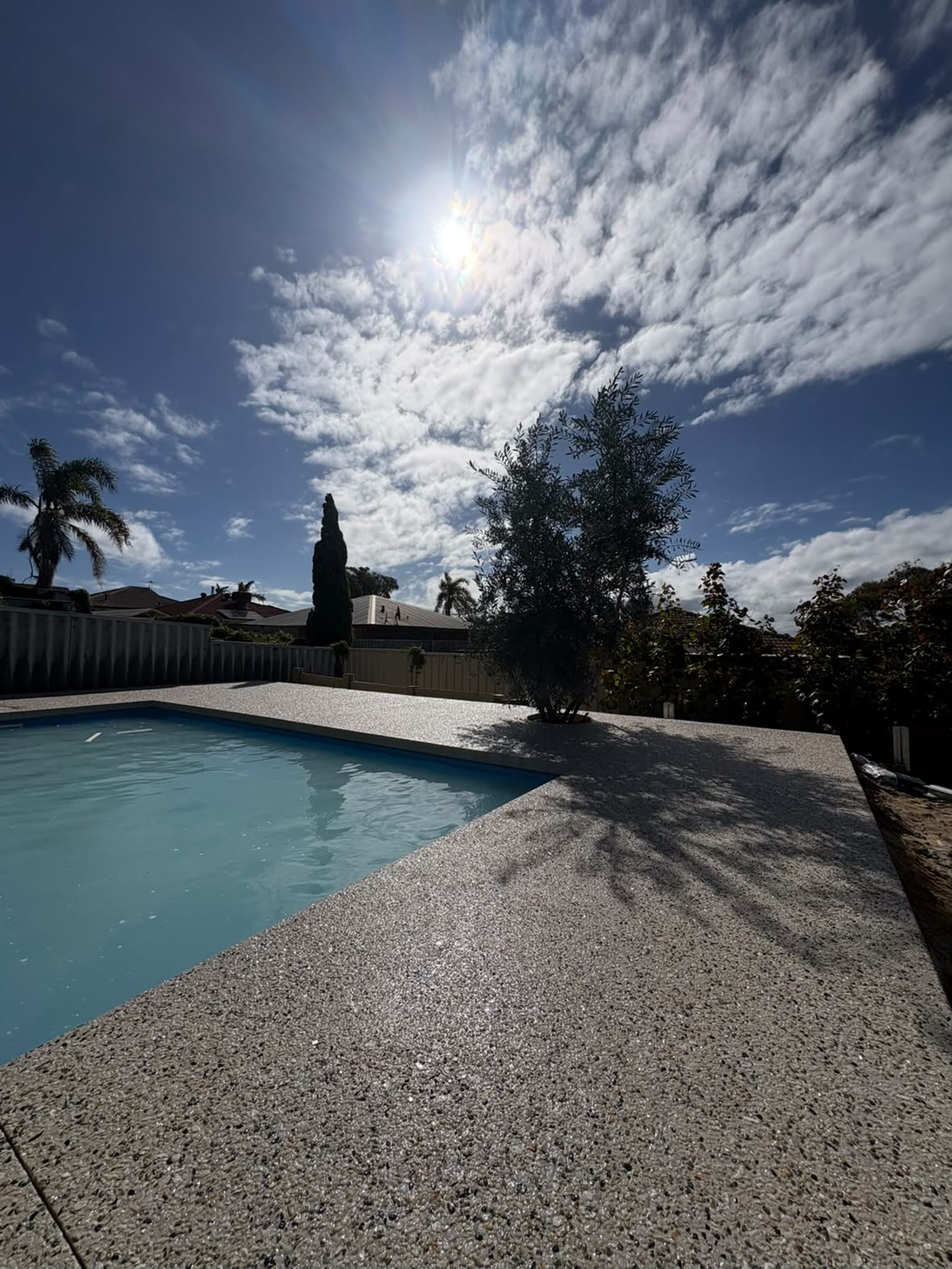 Exposed aggregate pool surround wrapping the pool edge, olive tree left in its own cut-out